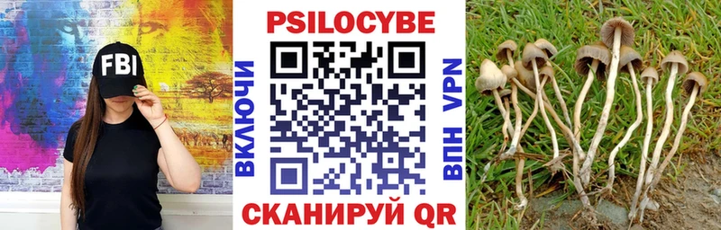 купить наркоту Чита даркнет официальный сайт Галлюциногенные грибы MAGIC MUSHROOMS